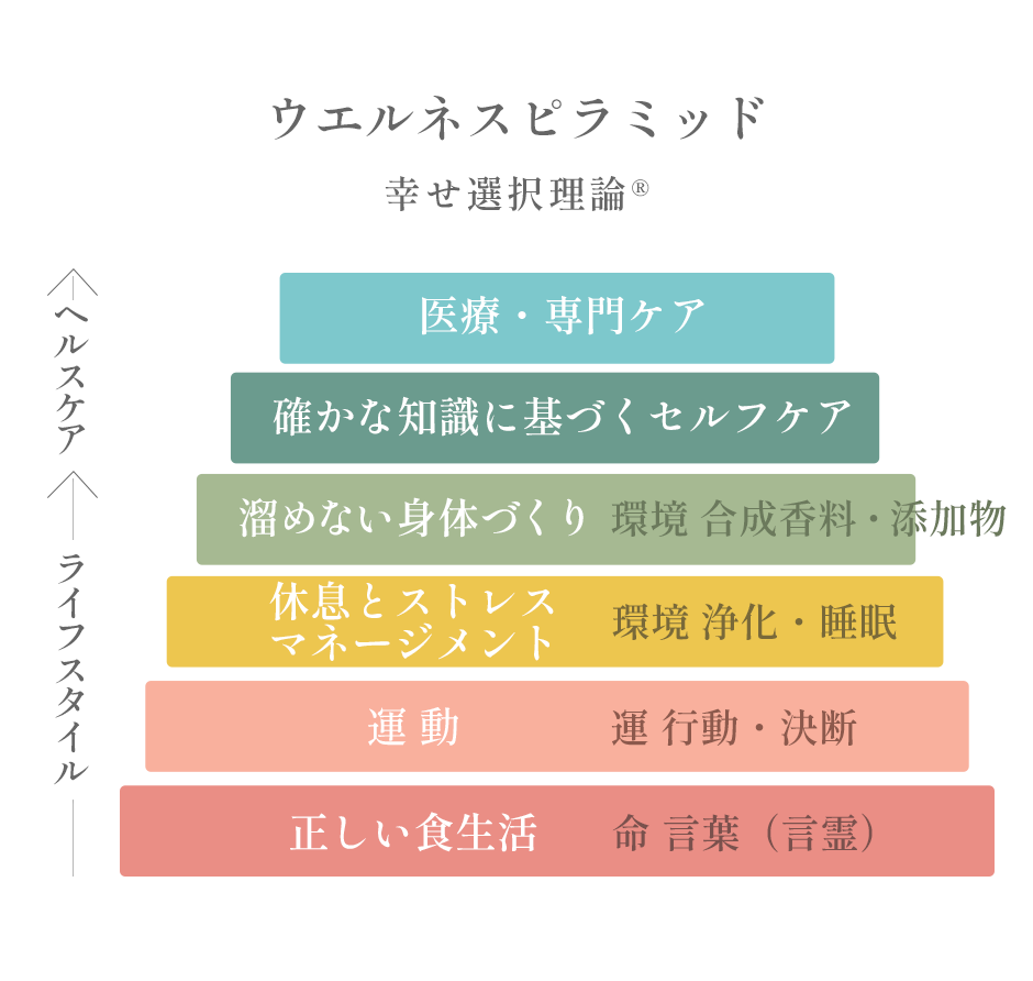 ウエルネスピラミッド